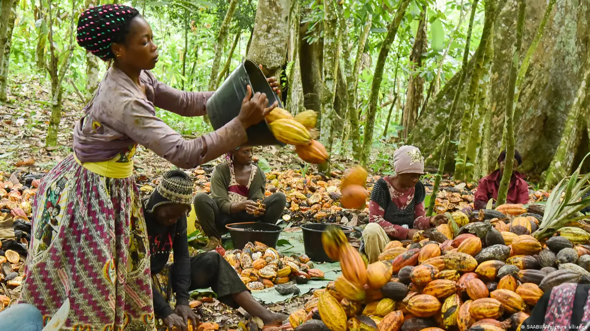 Coopérative agricole